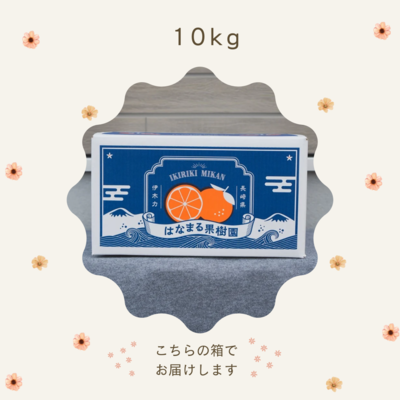 家庭用みかん 【10kg】 | はなまる果樹園